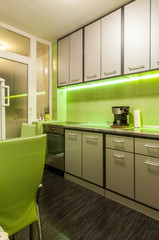 Modern luxury kitchen in luxury apartment interior