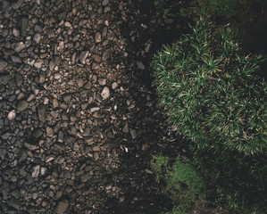 coastal textures