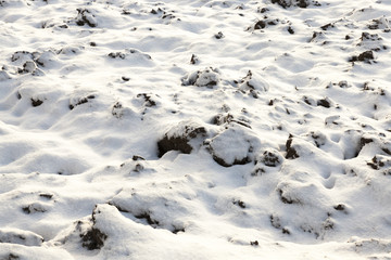 land covered with snow, close-up