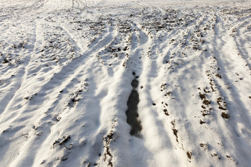 Snow drifts on the ground