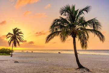 Tropical landscape at sunset. Caribbean idyllic beach.