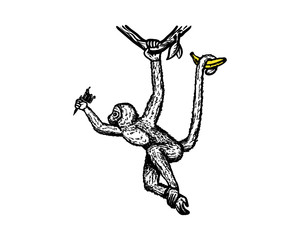 Monkey Swinging with Banana and Tatto Tool on the hand Hans Drawing Symbol Vector