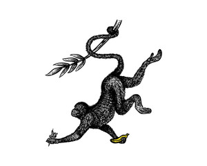 Monkey Swinging with Banana and Tatto Tool on the hand Hans Drawing Symbol Vector