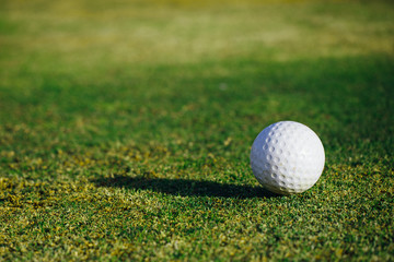 golf ball on green grass, closeup view