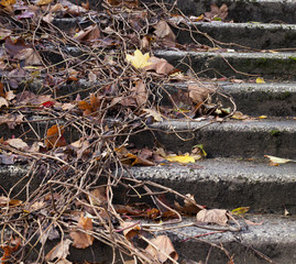 old concrete staircase