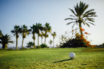 golf ball on green grass, palm trees background