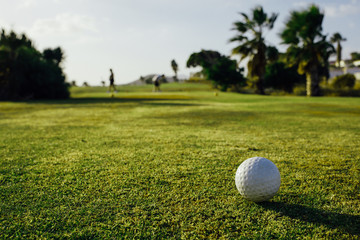 golf ball on green grass, palm trees background