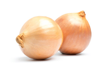 ripe onion on a white background