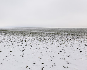 Winter time, field