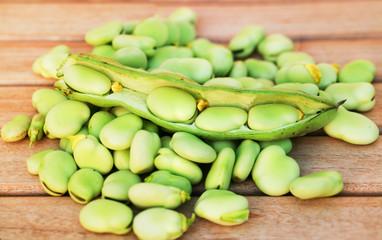 grains de fèves fraiches