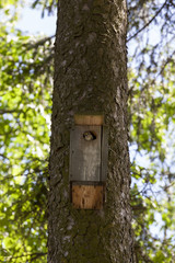 birdhouse in park