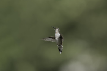 In the Middle of it All