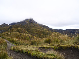 Camino de tierra que nos lleva a la montaña