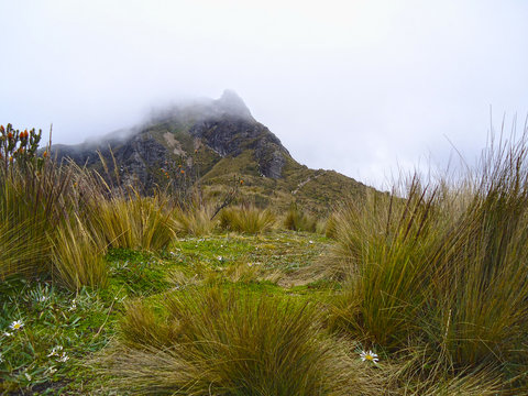 Vista central de la monta&ntilde;a con pajonal alrededor