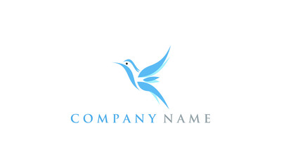 Fototapeta premium bird vector
