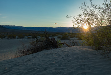 Mesquite Flat Dunes, Sand dunes at Death Valley National Park