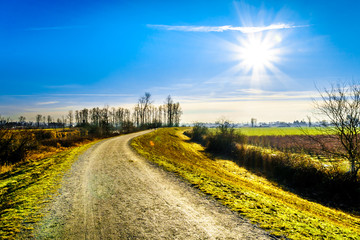 Obraz premium Low winter sun over the Dyke along the Alouette River in the Pitt Polder at the town of Maple Ridge in the Fraser Valley of British Columbia, Canada on a clear and cold winter day