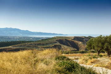 Fototapeta na wymiar Landscape in Crete, Greece