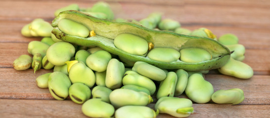 grains de feves fraiches