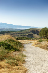 Agricultural field in Crete, Greece