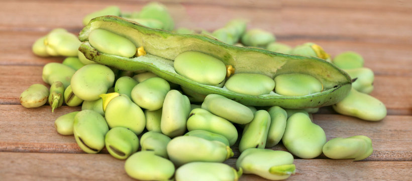 grains de feves fraiches