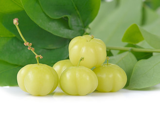 Star gooseberry isolated on white background