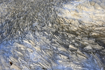 The winter sea ice