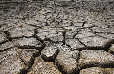 Climate warming dry chapped land