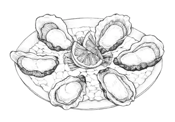 Crédence de cuisine en verre imprimé Crustacés Hand drawn oyster salt-water bivalve platter