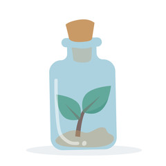 Illustration of plant in a bottle