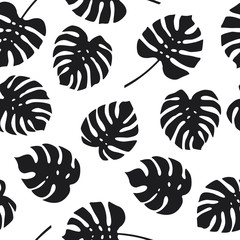 Seamless pattern of monstera leaves on white background © ekyaky