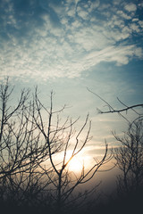 Fototapeta premium Sunset and Beautiful sky evening In summer on the mountain