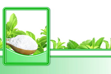 fresh green Stevia rebaudiana and extract powder in wooden spoon