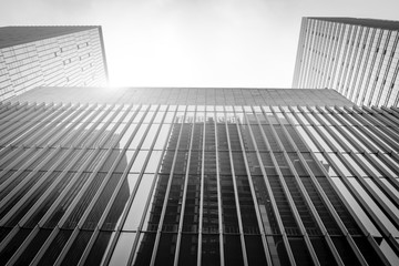 Black-and-white building