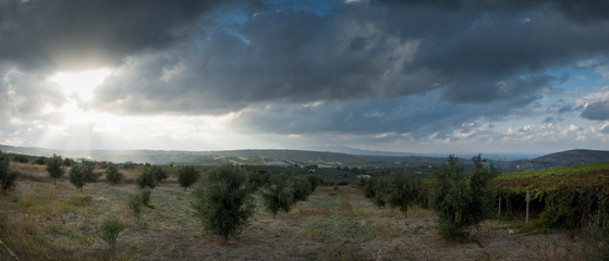 Agricultural field in Crete, Greece