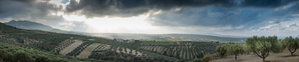 Fototapeta na wymiar Agricultural field in Crete, Greece