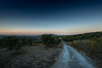 Empty road and field during sunset