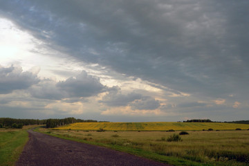 Obraz premium droga do żółtego pola