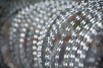 Pattern and surface shape of coiled barbed wire for a background.