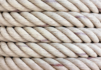 Pattern and texture of the rope curl for the background.