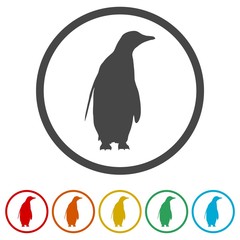 Penguin Icon - vector Illustration, 6 Colors Included