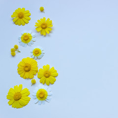 Bright daisies lie in the form of a frame on a light canvas. Concept - education, drawing, creativity. Copy space.
