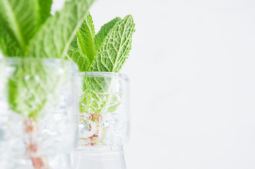Fresh spring background - green mint twigs closeup in bottles on white soft wood background.