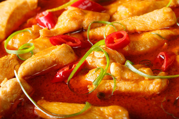Street Thai food: chicken panang curry macro. background horizontal