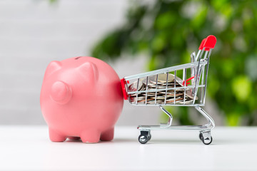 piggy bank with coin on the table