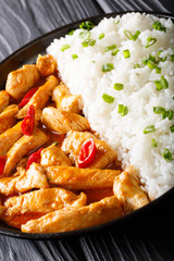 Thai chicken pangang curry with rice and green onion close-up. vertical