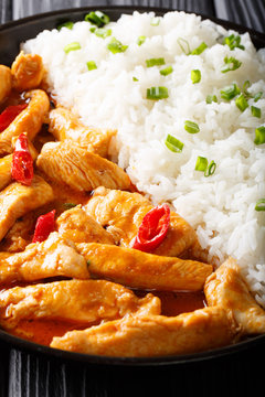 Thai food: Panang curry with rice close-up. vertical