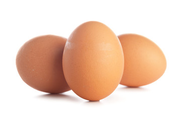 egg on white background