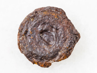Fototapeta premium raw lake iron ore coin type (limonite) on white
