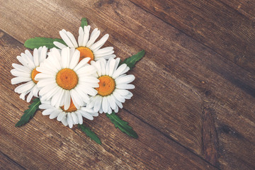 Fototapeta premium Beautiful chamomile flowers on the table